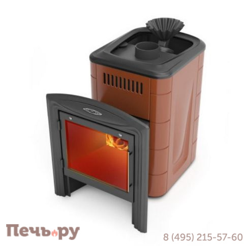 Банная печь ТМФ Гейзер Мини 2016 Carbon Витра ЗК терракота фото