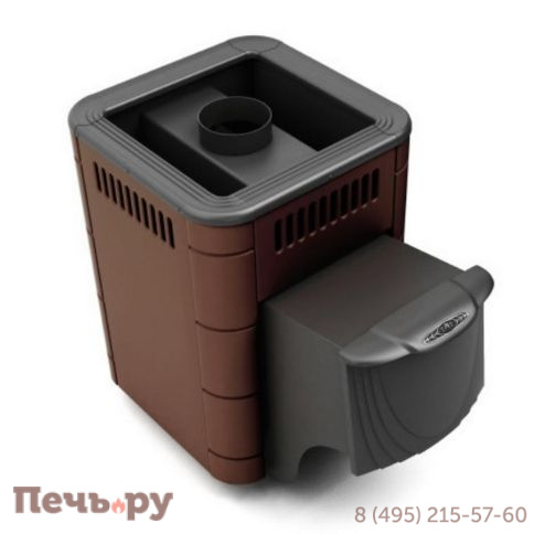 Банная печь ТМФ Оса Carbon ДА фото 2