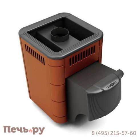 Банная печь ТМФ Оса Carbon ДА фото