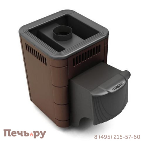 Банная печь ТМФ Оса Inox ДА фото 2