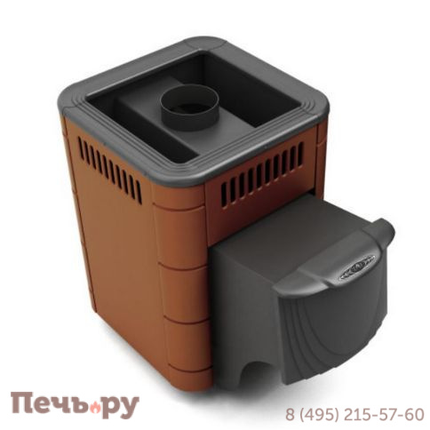 Банная печь ТМФ Оса Inox ДА фото