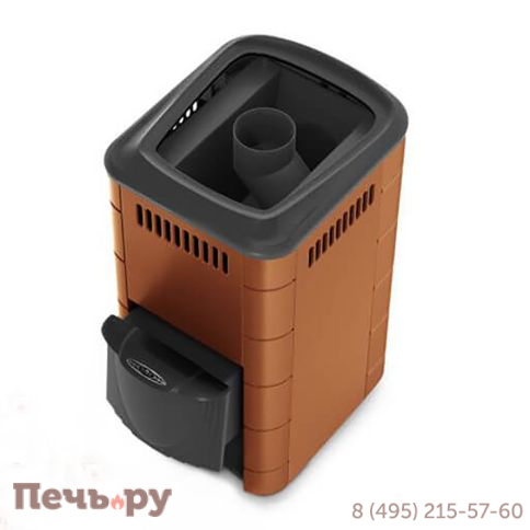 Банная печь ТМФ Тунгуска 2017 Inox ДА КТК терракота фото