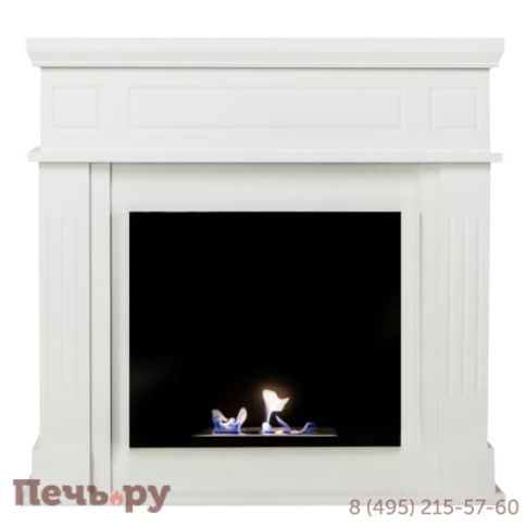 Биокамин классический ZeFire Tetra фото