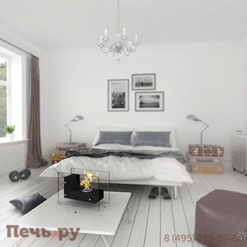 Биокамин ZeFire Fidero 500 черный/белый фото 5