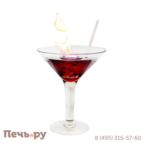 Биокамин ZeFire Martini фото