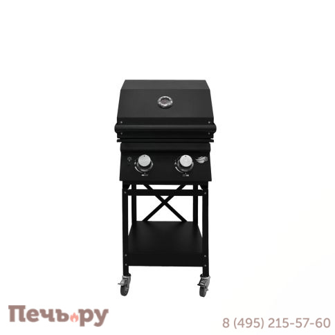 Газовый гриль B-fire Bizon Black 2 на подставке фото