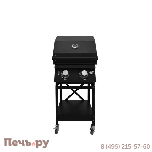 Газовый гриль B-fire Bizon Premium Black 2 на подставке фото