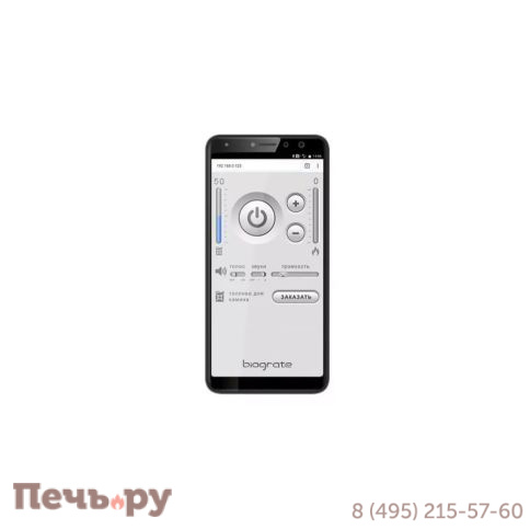 Модуль Biograte  Wi-Fi + звук для S 700, 1000 фото