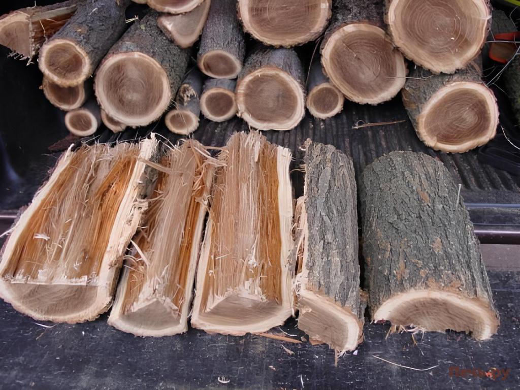 Дрова Grade-A-Oak-Firewood-Logs.jpg