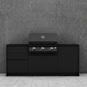 Готовая кухня Астов № 4 с грилем B-fire Bizon Black 3 фото